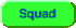 Squad